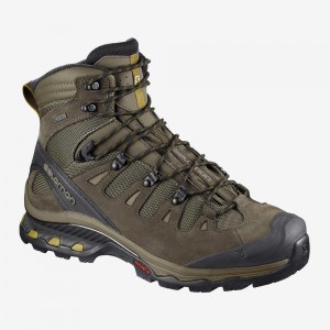 Bottes de Marche Salomon Quest 4D 3 Gtx Homme Marron | 63085-JSRH