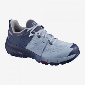 Chaussure Running Salomon Odyssey Gtx W Femme Bleu | 68975-KYSR