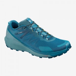 Chaussure Trail Running Salomon Sense Ride 3 Homme Bleu | 69324-OHJD