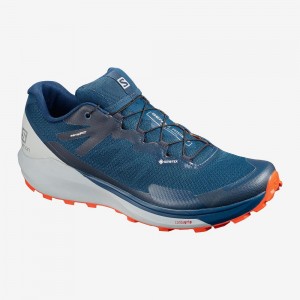 Chaussure Trail Running Salomon Sense Ride 3 Gtx Invis. Fit Homme Bleu | 23406-DHNC