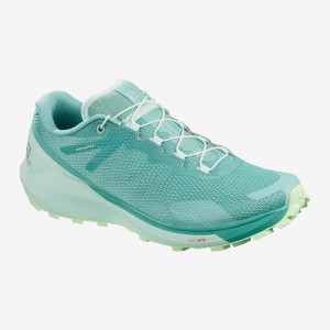 Chaussure Trail Running Salomon Sense Ride 3 W Femme Vert | 37651-CDGS