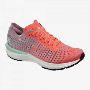 Chaussure Trail Running Salomon Sonic 3 Accelerate W Femme Orange | 75246-RKAE