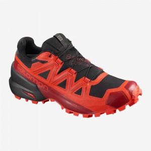 Chaussure Trail Running Salomon Spikecross 5 Gore-Tex Homme Noir | 05237-TRCV