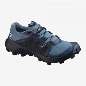 Chaussure Trail Running Salomon Wildcross Gtx Femme Bleu | 07945-MCXJ