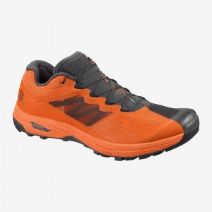 Chaussure Trail Running Salomon X Alpine Pro Homme Orange | 54219-DBSV