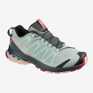 Chaussure Trail Running Salomon Xa Pro 3D V8 Femme Gray | 47980-HYZG