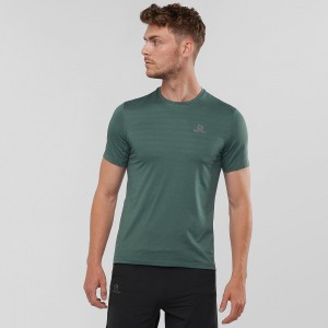 Hauts Salomon Xa Tee M Homme Vert | 43520-ESAT