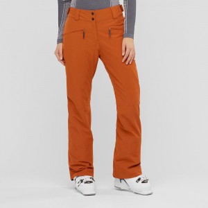 Pantalon Salomon Edge Femme Marron | 96450-BFRO