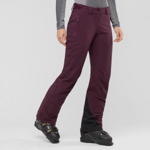 Pantalon Salomon The Brilliant Femme Violette | 62041-FTHV