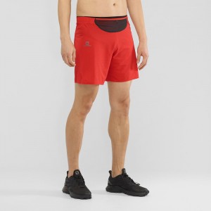 Short Salomon Sense Corta M Homme Rouge | 51879-QDTJ