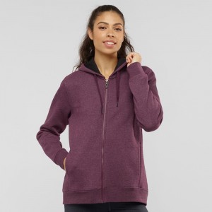 Sweat a Capuche Salomon Essential Warm Femme Violette | 60124-DSFM