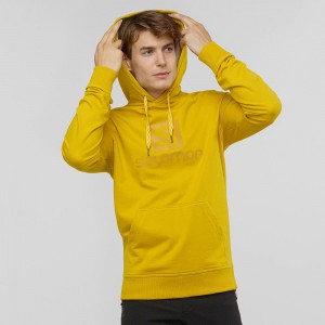 Sweat a Capuche Salomon Shift Hoodie M Homme Jaune | 72083-LFPO