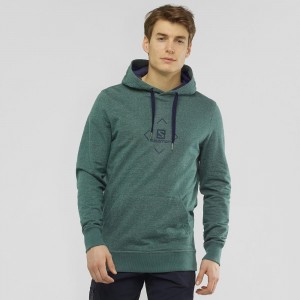 Sweat a Capuche Salomon Shift Hoodie M Homme Vert | 38769-RKEM