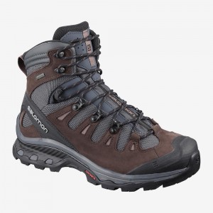 Trekking Salomon Quest 4D 3 Gtx W Femme Gray | 84723-IGTX