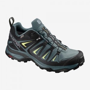 Trekking Salomon X Ultra 3 Gore-Tex Femme Bleu | 14357-MAWS