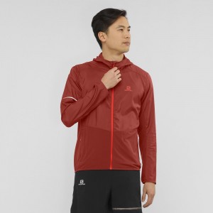 Veste De Course Salomon Agile Vent Homme Rouge | 75429-NOLT