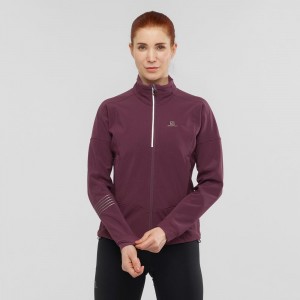 Veste Salomon Lightning Warm Sshell Jkt W Femme Violette | 60358-JPKD