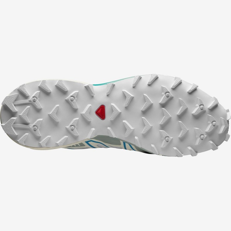 Basket Salomon Speedcross 3 Homme Blanche | 60814-RHXK