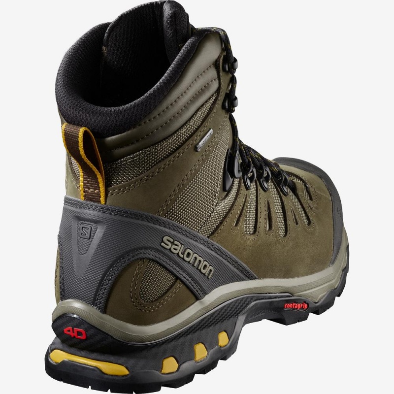 Bottes de Marche Salomon Quest 4D 3 Gtx Homme Marron | 63085-JSRH