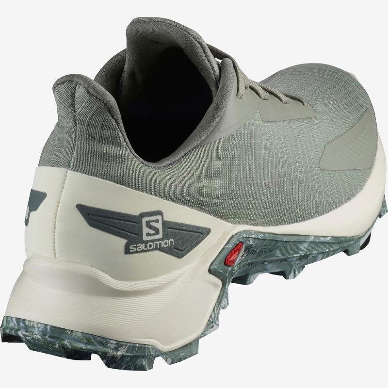 Chaussure Casual Salomon Alphacross Blast Homme Gray | 13026-AWCD