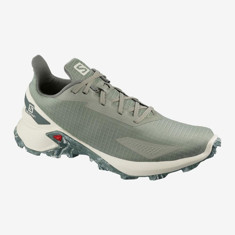 Chaussure Casual Salomon Alphacross Blast Homme Gray | 13026-AWCD