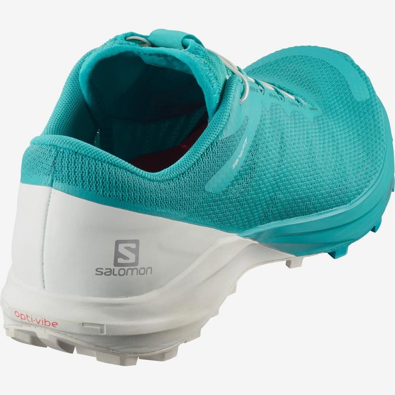 Chaussure Trail Running Salomon Sense Pro 4 Femme Bleu | 57821-ZBLN