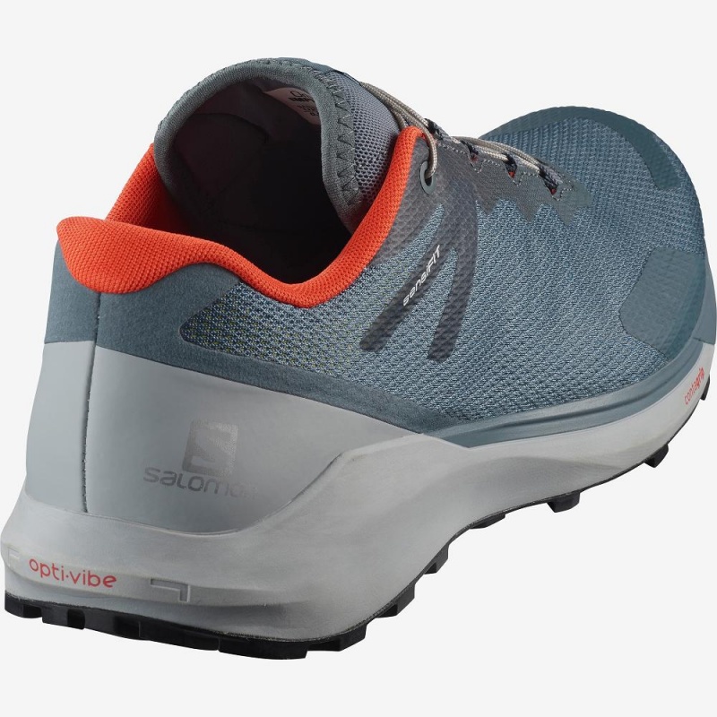 Chaussure Trail Running Salomon Sense Ride 3 Homme Gray | 38641-SHGI