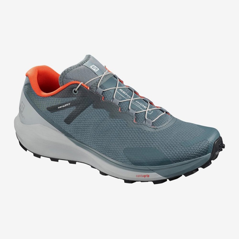 Chaussure Trail Running Salomon Sense Ride 3 Homme Gray | 38641-SHGI