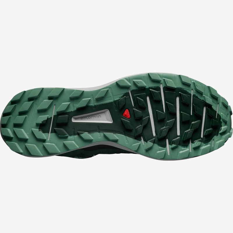 Chaussure Trail Running Salomon Sense Ride 3 Homme Vert | 83926-JXZB