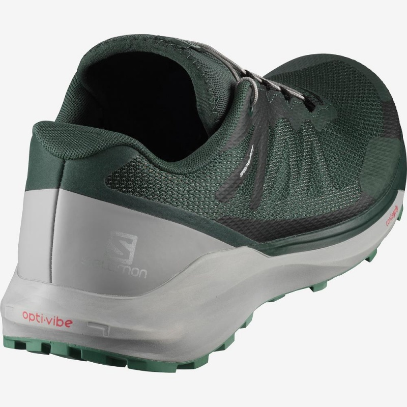 Chaussure Trail Running Salomon Sense Ride 3 Homme Vert | 83926-JXZB