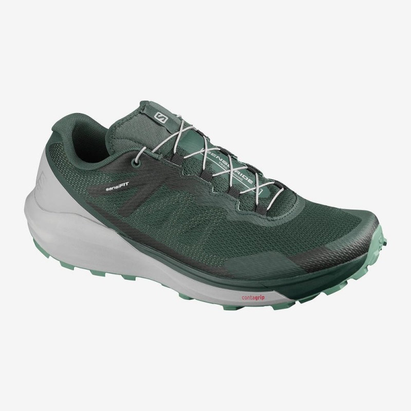 Chaussure Trail Running Salomon Sense Ride 3 Homme Vert | 83926-JXZB