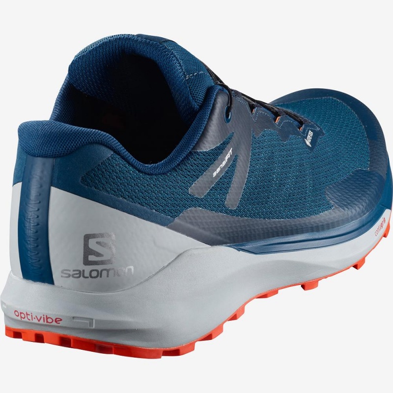 Chaussure Trail Running Salomon Sense Ride 3 Gtx Invis. Fit Homme Bleu | 23406-DHNC