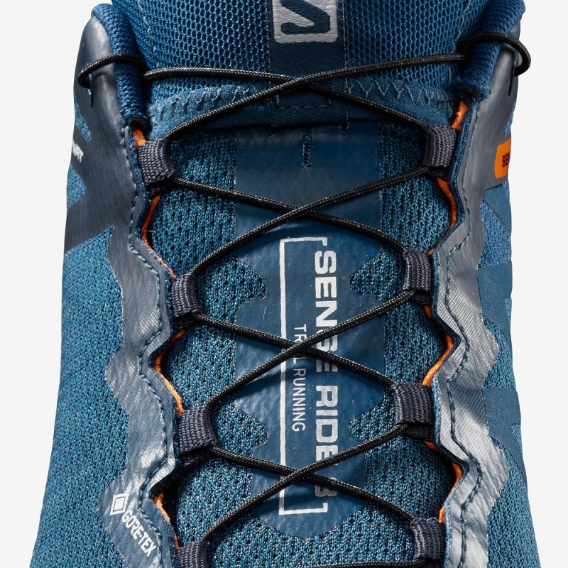 Chaussure Trail Running Salomon Sense Ride 3 Gtx Invis. Fit Homme Bleu | 23406-DHNC