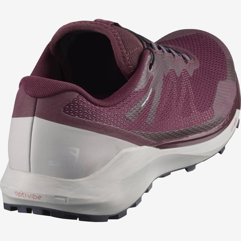 Chaussure Trail Running Salomon Sense Ride 3 W Femme Blanche | 59231-BULV