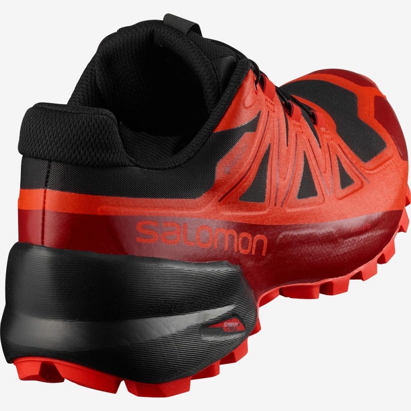 Chaussure Trail Running Salomon Spikecross 5 Gore-Tex Homme Noir | 05237-TRCV