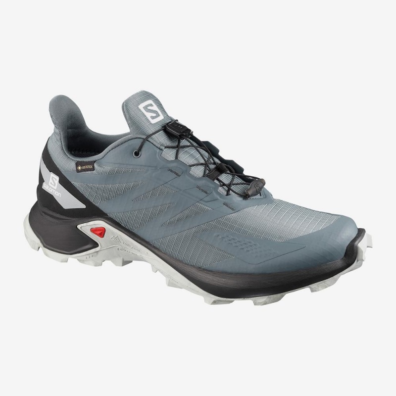 Chaussure Trail Running Salomon Supercross Blast Gtx Homme Gray | 38491-HECM