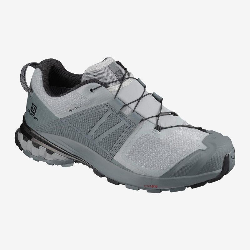 Chaussure Trail Running Salomon Xa Wild Gore-Tex Homme Gray | 81524-JLDF