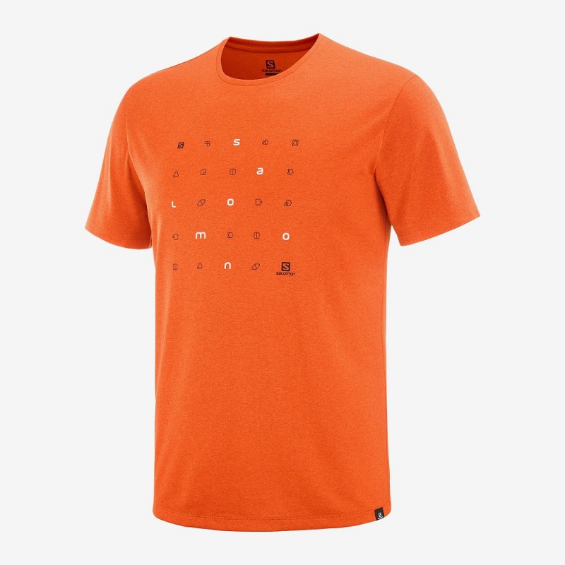 Hauts Salomon Agile Graphique Tee M Homme Orange | 14852-JSIN