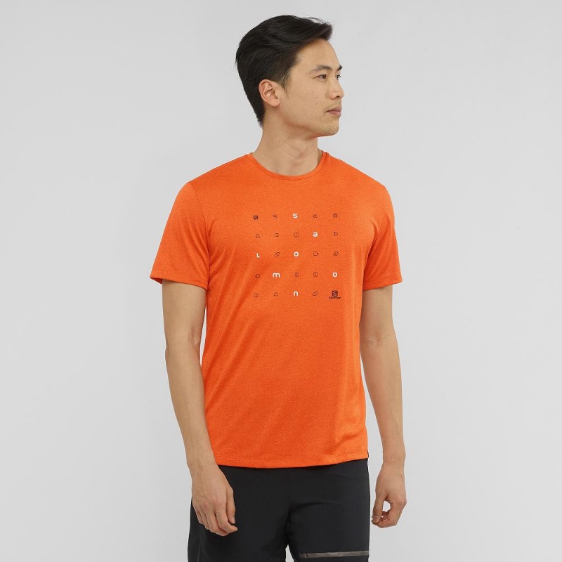 Hauts Salomon Agile Graphique Tee M Homme Orange | 14852-JSIN