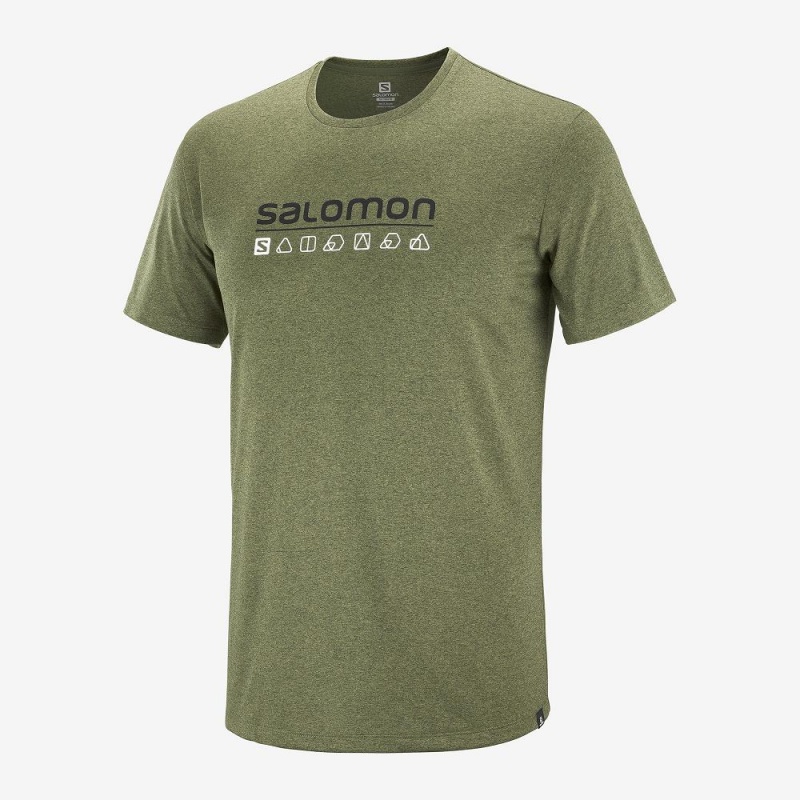 Hauts Salomon Agile Graphique Tee M Homme Vert | 04726-COMP