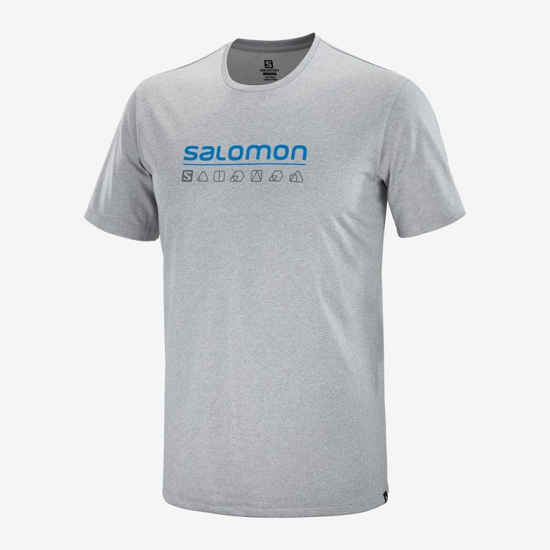 Hauts Salomon Agile Graphique Tee M Homme Gray | 47819-CIMW