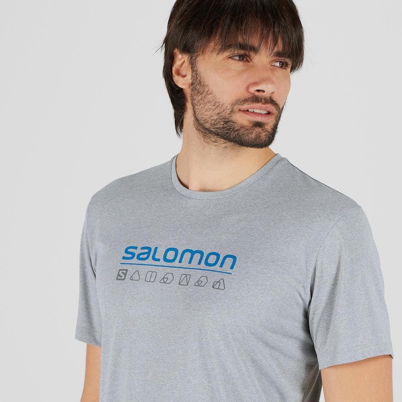 Hauts Salomon Agile Graphique Tee M Homme Gray | 47819-CIMW