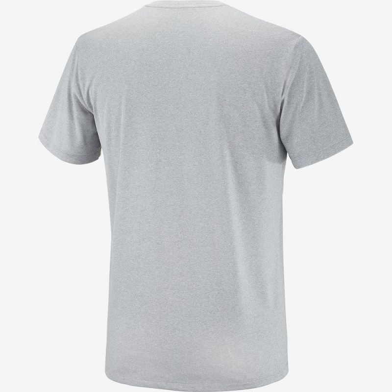 Hauts Salomon Agile Graphique Tee M Homme Gray | 47819-CIMW