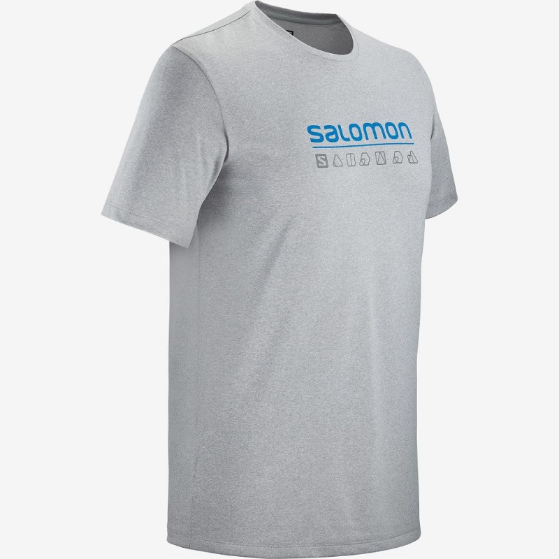 Hauts Salomon Agile Graphique Tee M Homme Gray | 47819-CIMW