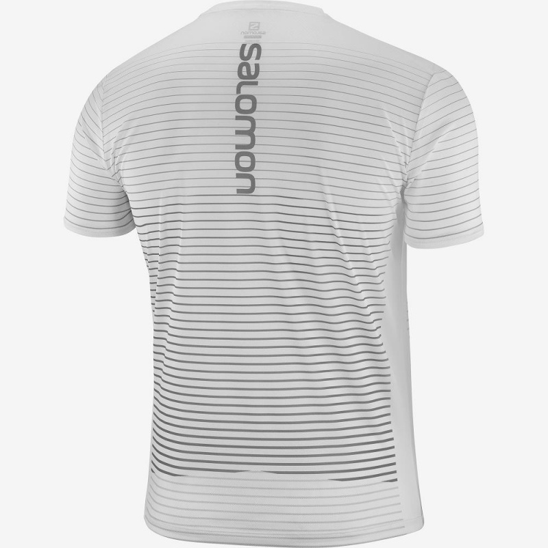 Hauts Salomon Sense Tee M Homme Blanche | 85723-LIDF