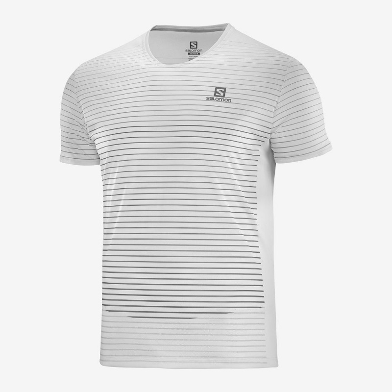 Hauts Salomon Sense Tee M Homme Blanche | 85723-LIDF