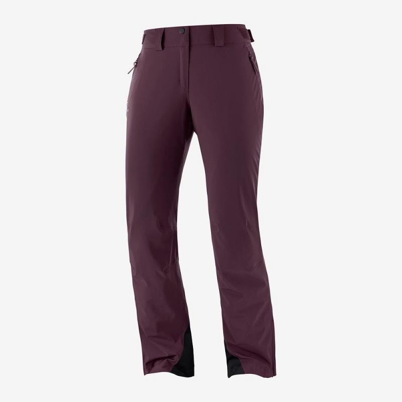 Pantalon Salomon The Brilliant Femme Violette | 62041-FTHV