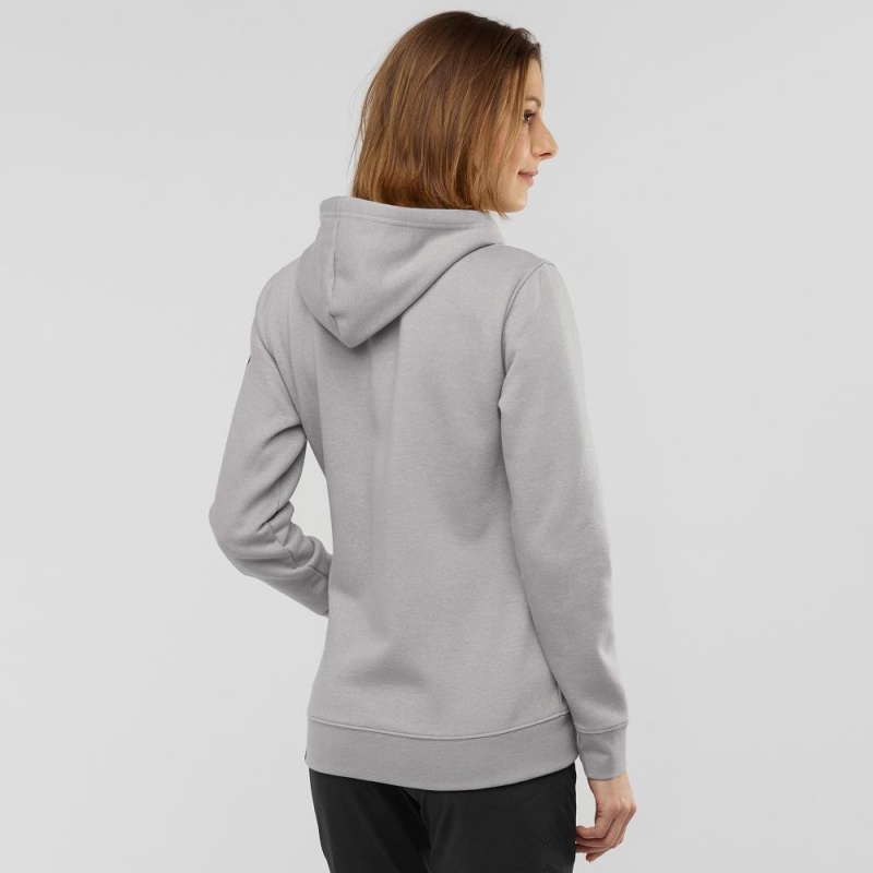 Sweat a Capuche Salomon Essential Warm Femme Gray | 31670-CKRG