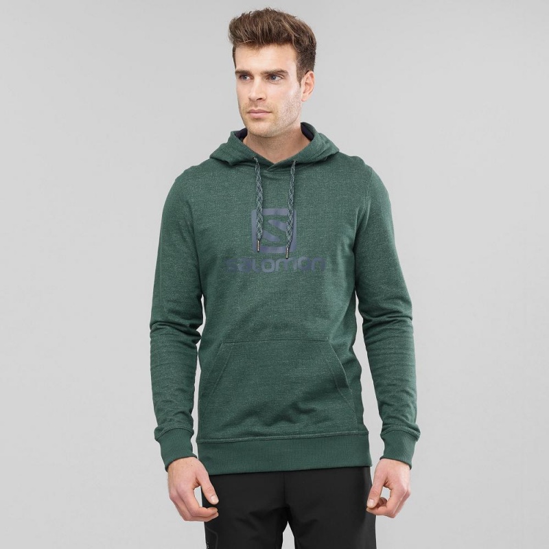 Sweat a Capuche Salomon Shift Hoodie M Homme Vert | 53064-PCAM