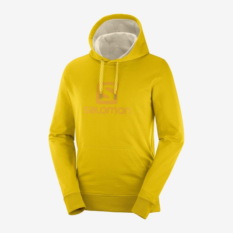 Sweat a Capuche Salomon Shift Hoodie M Homme Jaune | 72083-LFPO